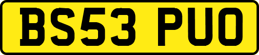 BS53PUO