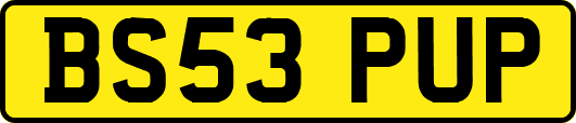 BS53PUP