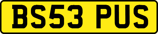 BS53PUS