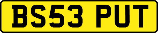 BS53PUT