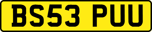 BS53PUU