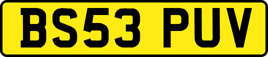 BS53PUV