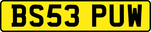 BS53PUW