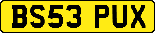 BS53PUX