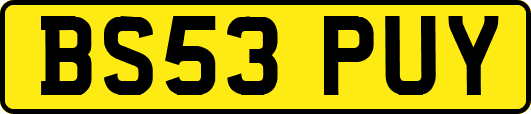 BS53PUY