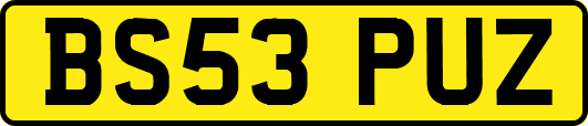 BS53PUZ