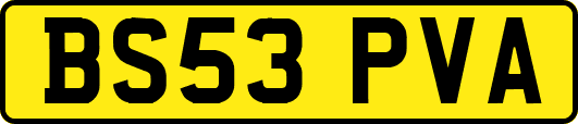 BS53PVA