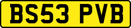 BS53PVB