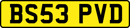 BS53PVD
