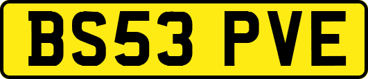 BS53PVE