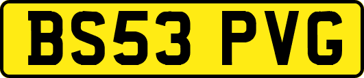 BS53PVG