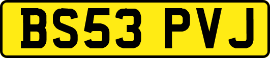 BS53PVJ