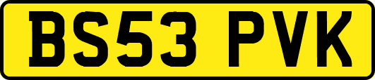 BS53PVK