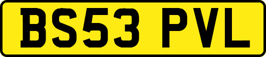 BS53PVL