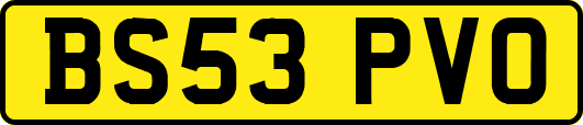 BS53PVO