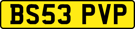 BS53PVP