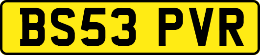 BS53PVR