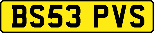 BS53PVS