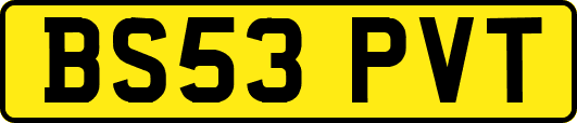 BS53PVT