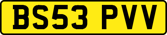 BS53PVV