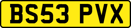 BS53PVX