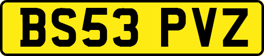 BS53PVZ