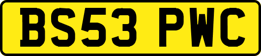 BS53PWC