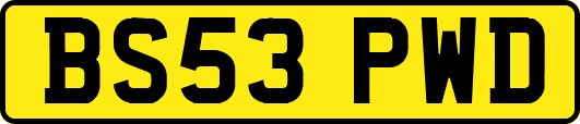 BS53PWD