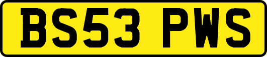 BS53PWS