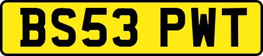 BS53PWT
