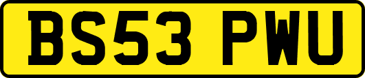 BS53PWU