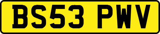 BS53PWV