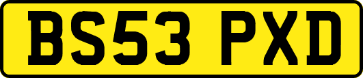 BS53PXD