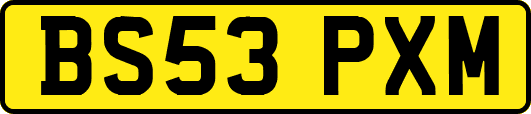 BS53PXM