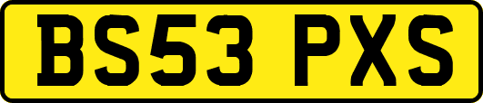 BS53PXS