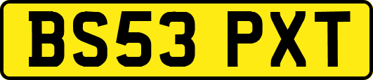 BS53PXT