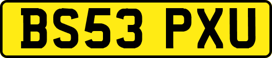 BS53PXU