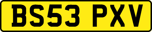 BS53PXV
