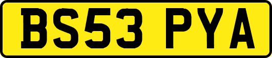 BS53PYA