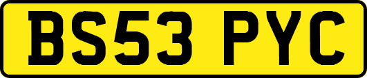 BS53PYC