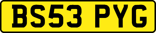 BS53PYG