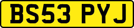 BS53PYJ