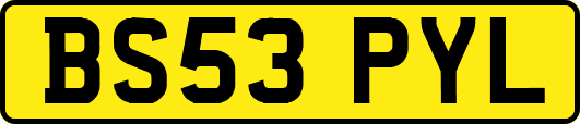 BS53PYL