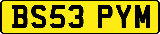 BS53PYM