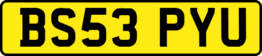 BS53PYU