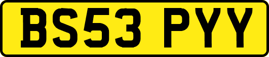 BS53PYY