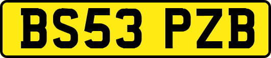 BS53PZB