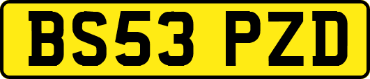 BS53PZD