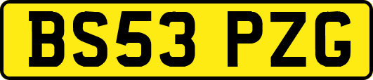 BS53PZG
