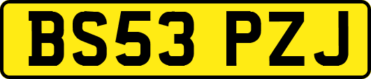 BS53PZJ